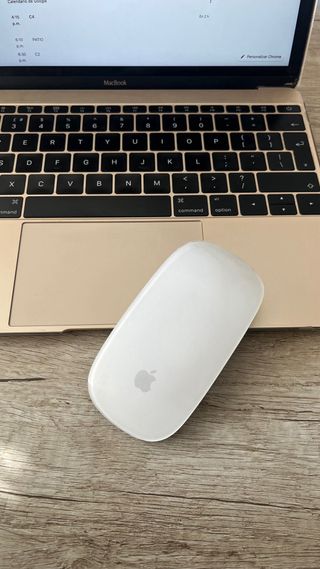 MacBook Retina 12 Early 2016