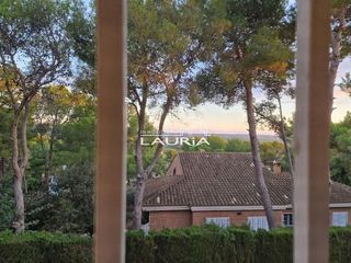 Chalet en venta en Picassent