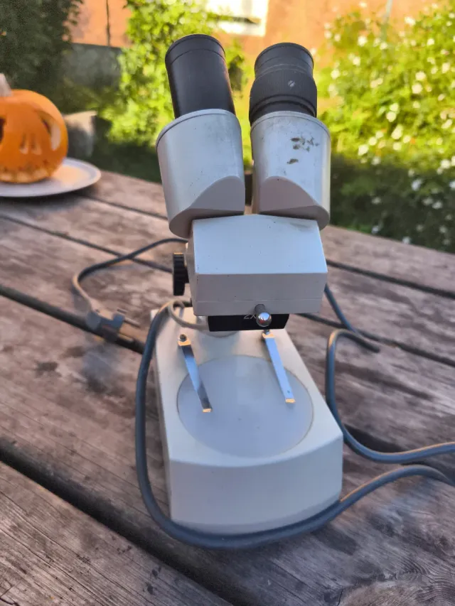 Microscopio Euromex 20X Modelo 24611