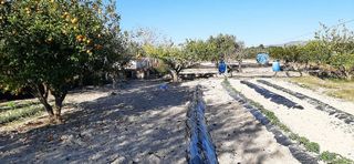 Chalet en venta en Albaida