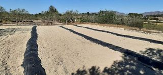 Chalet en venta en Albaida