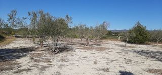 Chalet en venta en Albaida