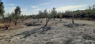 Chalet en venta en Albaida