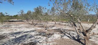 Chalet en venta en Albaida