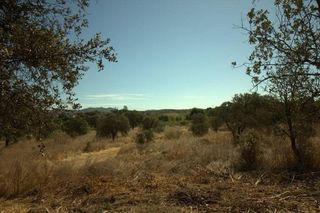 Solar en venta en Alburquerque