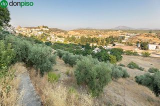 Solar en venta en Iznalloz