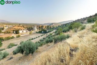 Solar en venta en Iznalloz