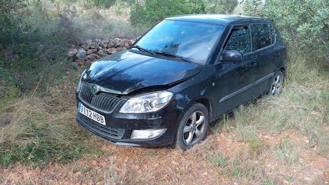 Despiece Skoda Fabia