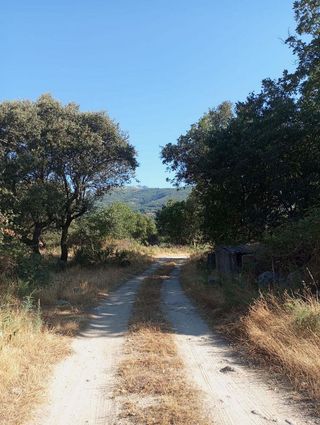 Terreno en venta en Candeleda