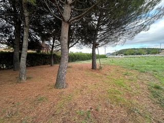 Terreno en venta en Alpicat