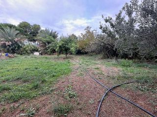 Terreno en venta en Alpicat