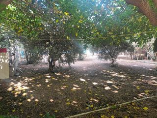 Chalet en venta en Villena