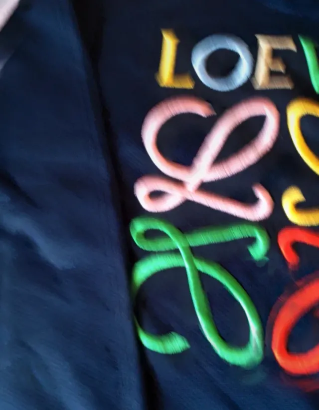 Sudadera Loewe sin capucha multicolor