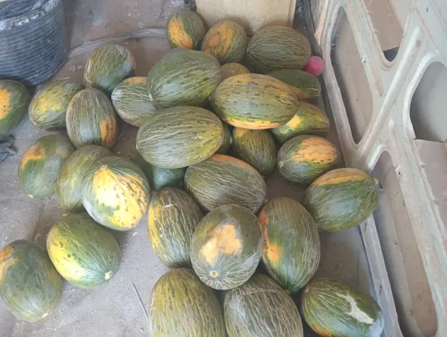 Portes, mudanzas, trabajos agrícolas, Jardinería