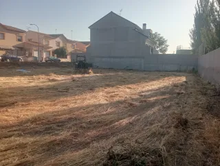 Portes, mudanzas, trabajos agrícolas, Jardinería