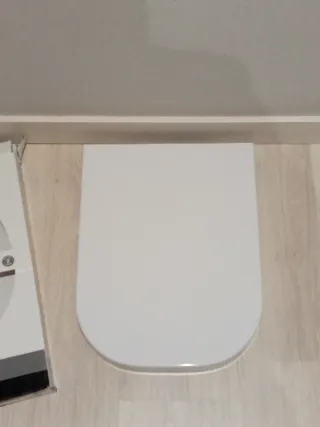 Tapa inodoro WC Roca The Gap.piezas