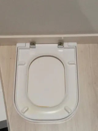 Tapa inodoro WC Roca The Gap.piezas