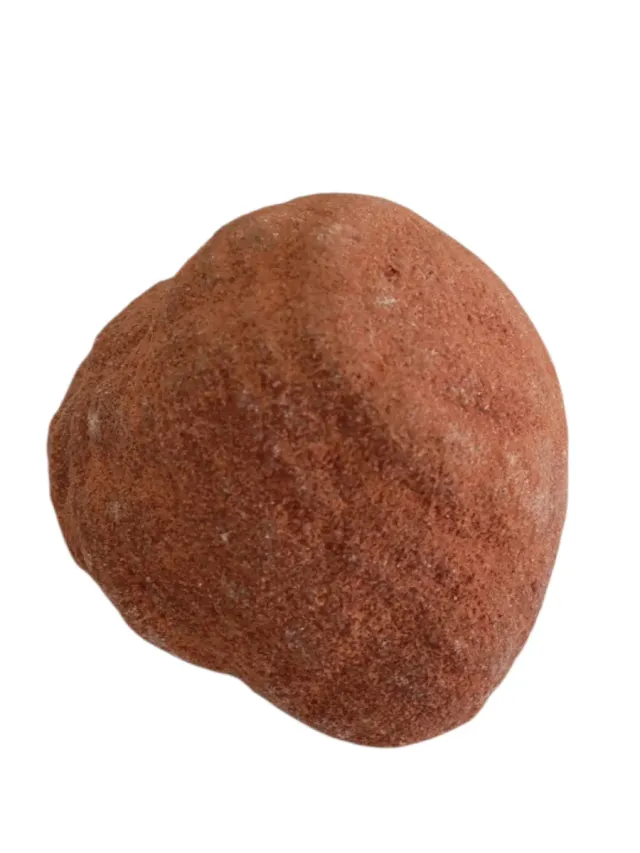 Stromalite a frammento fossile naturale