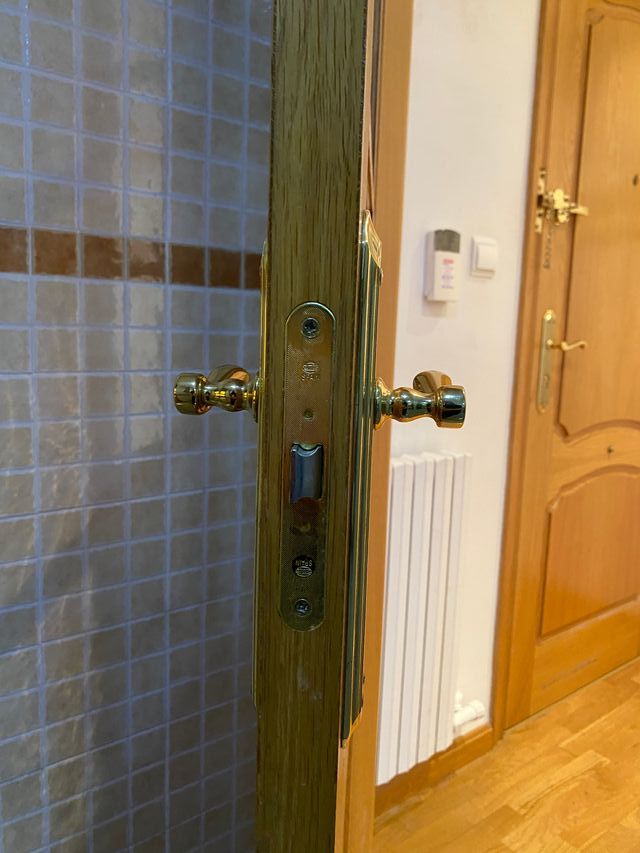 Puerta interior roble macizo