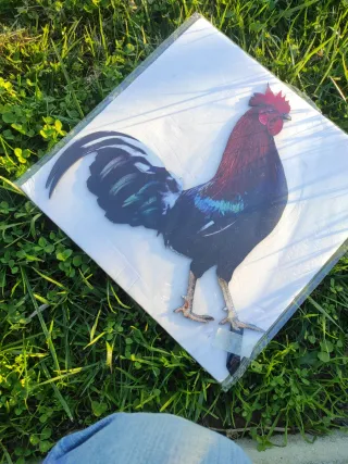 Statua gallo decorazione giardino con picchetto.