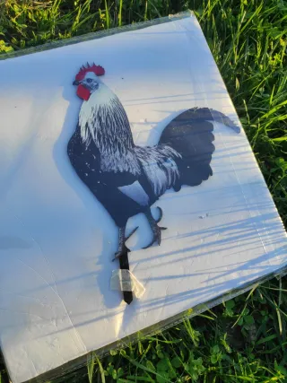 Statua gallo decorazione giardino con picchetto.