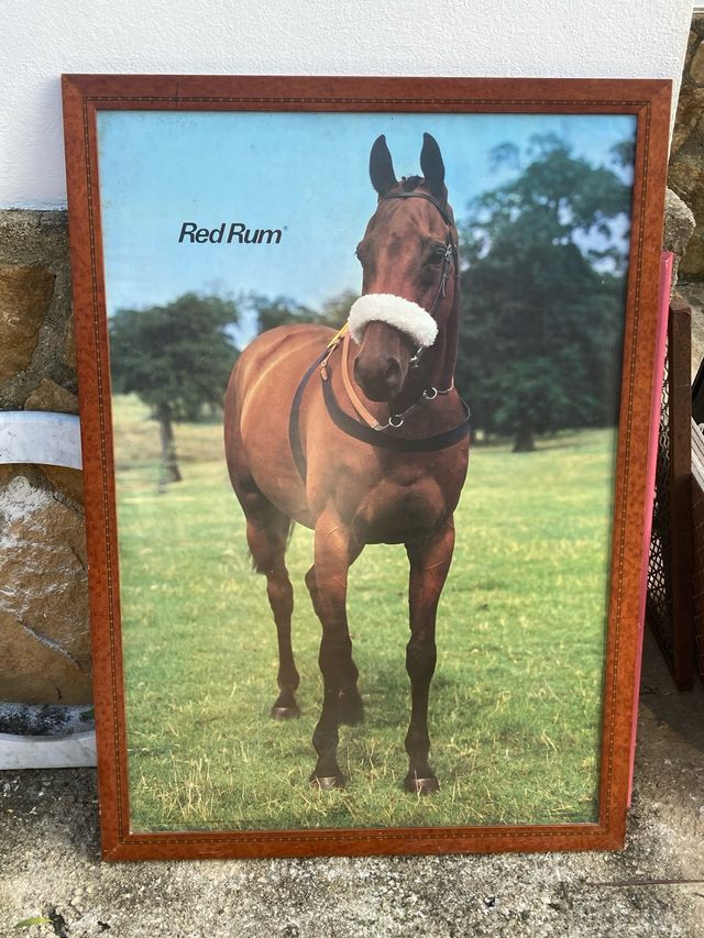 Gran Lámina Red Rum con Marco