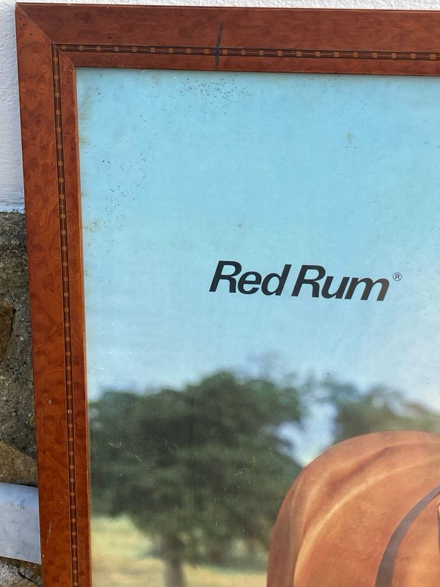 Gran Lámina Red Rum con Marco