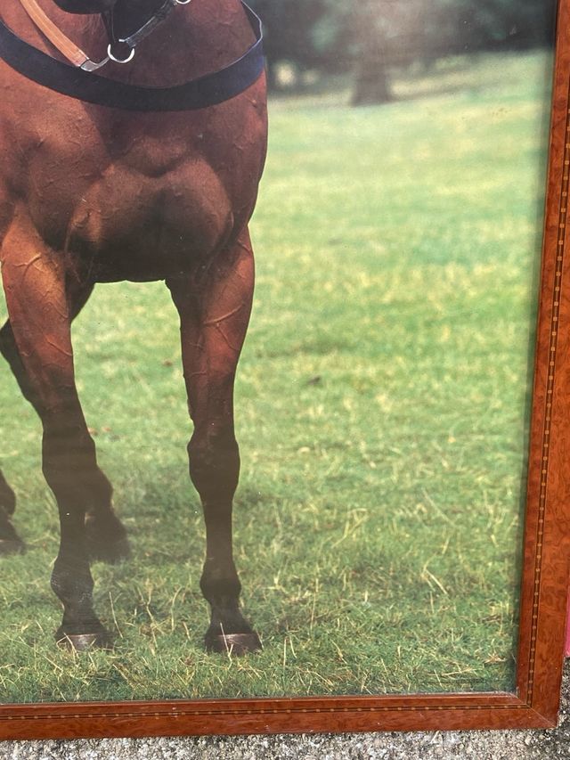 Gran Lámina Red Rum con Marco