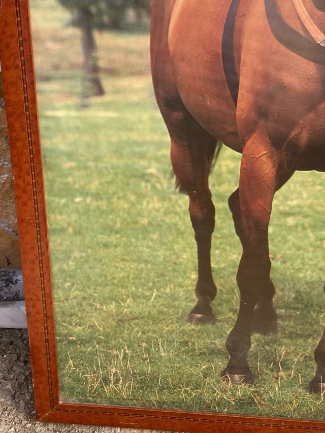 Gran Lámina Red Rum con Marco