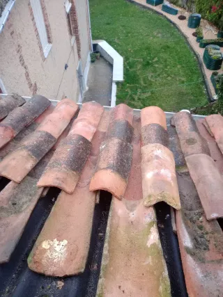 Tejados Y Canales C.M.