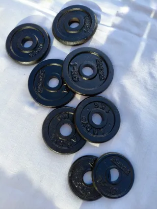 Discos de Pesas