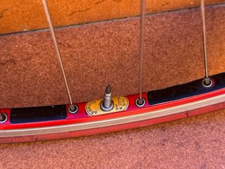 Ruedas Ambrosio Excellence Campagnolo