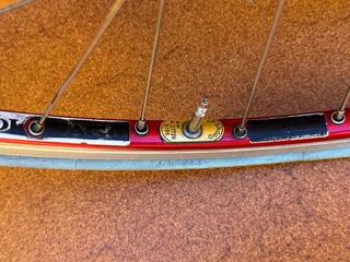 Ruedas Ambrosio Excellence Campagnolo