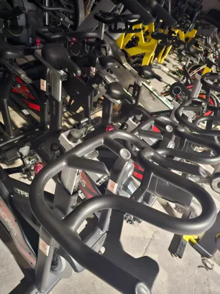 Bicicletas Spinning Salter Cross