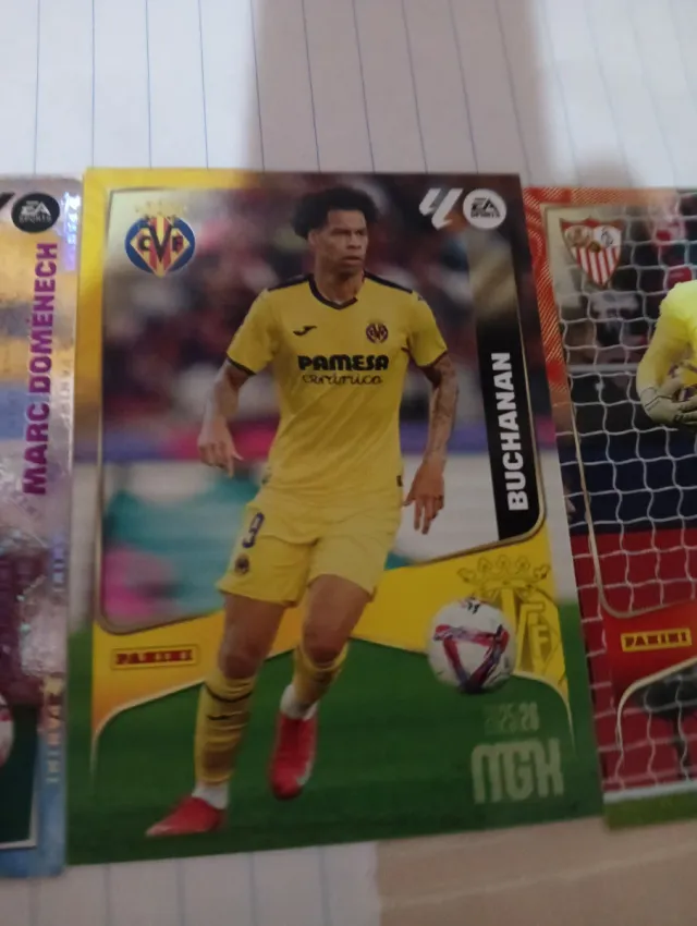 Lote Cartas Panini NGH 2025/26