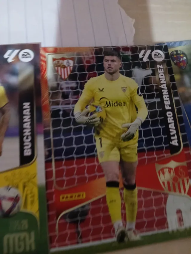 Lote Cartas Panini NGH 2025/26