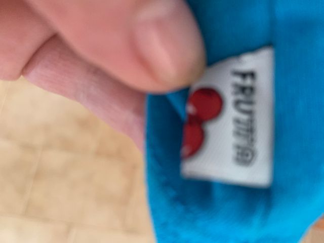 Maglietta FRUTTA azzurra manica lunga taglia S