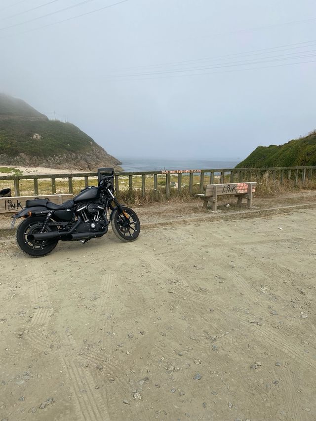 Harley Davidson 883 Iron