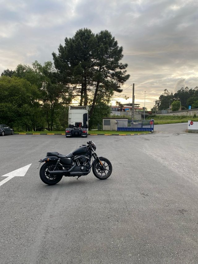 Harley Davidson 883 Iron