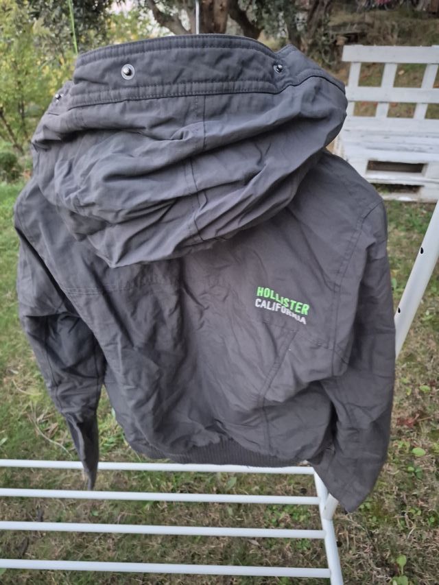 Giubbotto Hollister ragazza grigio e verde