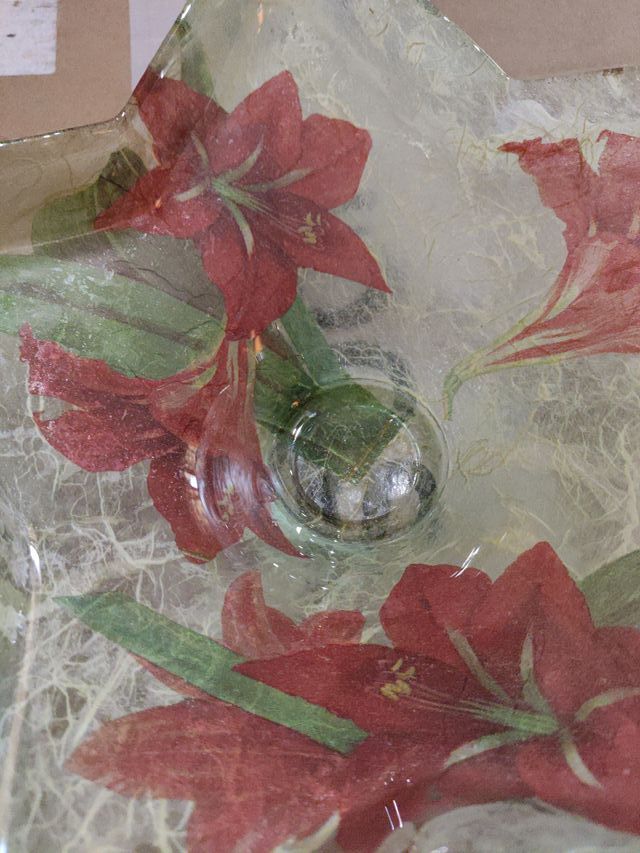 Frutero estrella cristal flores rojas