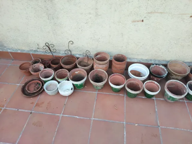 Lote Macetas tiesto Barro Terracota terraza jardín