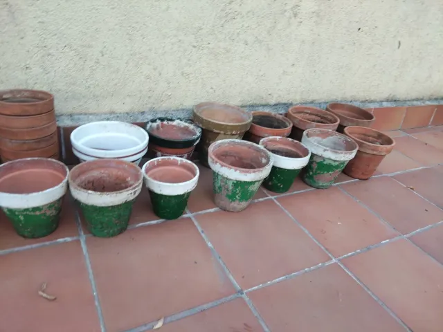 Lote Macetas tiesto Barro Terracota terraza jardín