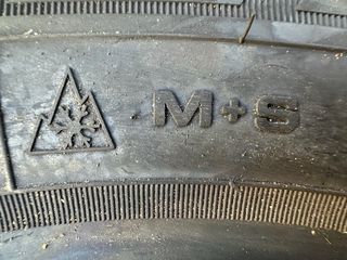 Neumáticos Dunlop 195/65R16C 104/102T Invierno