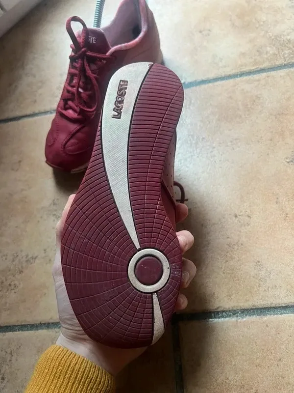 Sneakers Lacoste Bordeaux 37.5