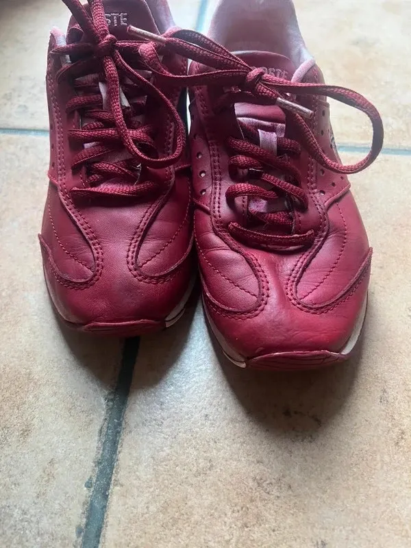 Sneakers Lacoste Bordeaux 37.5