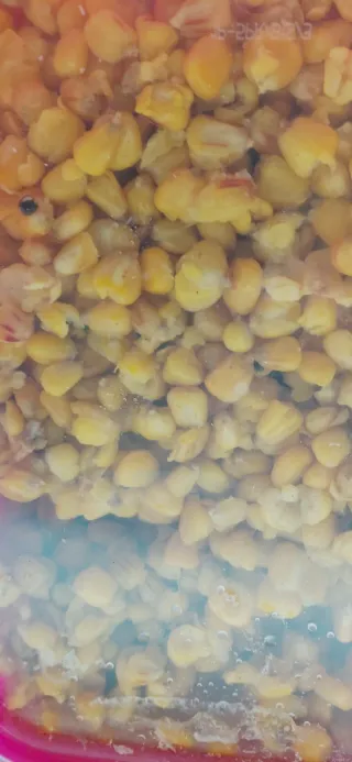 Cubo Cebo Carpfishing Maíz PVA Friendly