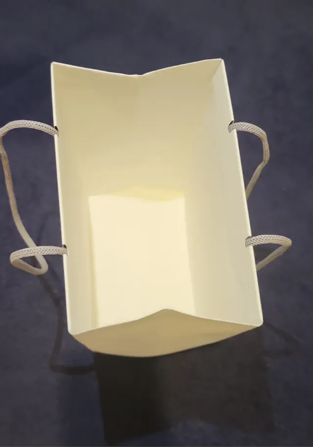 Bolsa de papel Apple tamaño mediano