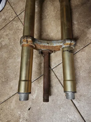 Barras y tijas Rieju RR Doradas