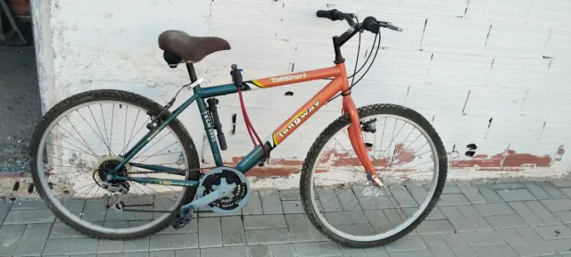 Bicicleta de Montaña Longway